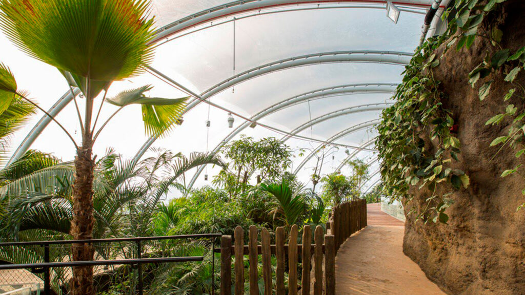 Case Study: Tropical House, Marwell Zoo – DCS